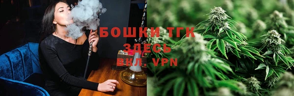 mdpv Горнозаводск