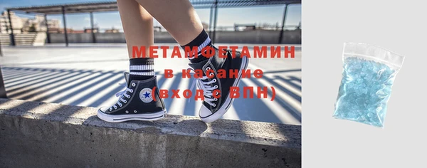 PSILOCYBIN Горняк
