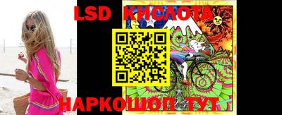 шишки Гай