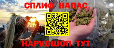 шишки Гай