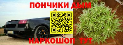 шишки Гай