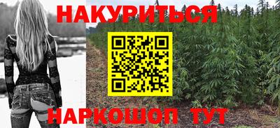 дмт Гатчина