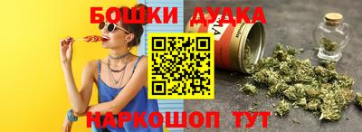 дмт Гатчина