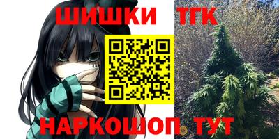 шишки Гай