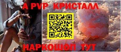 шишки Гай
