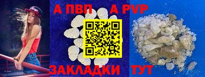 шишки Гай