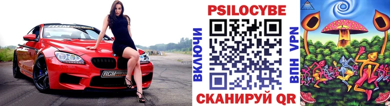 Галлюциногенные грибы Psilocybine cubensis  продажа наркотиков  Изобильный 