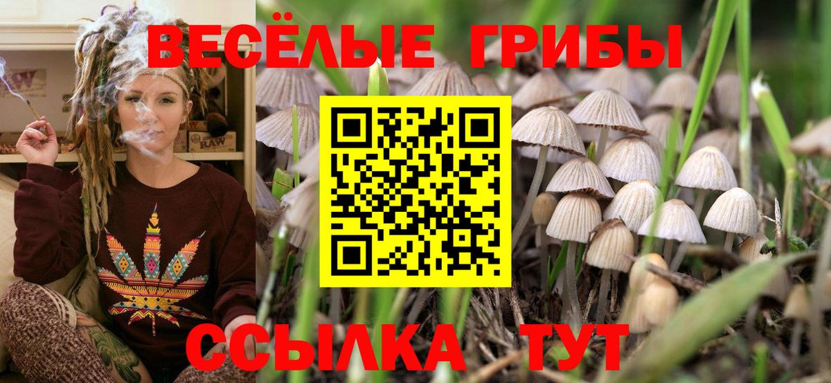 Галлюциногенные грибы ЛСД  Вход с VPN  Изобильный 